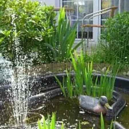 In * Ostseebad Kühlungsborn