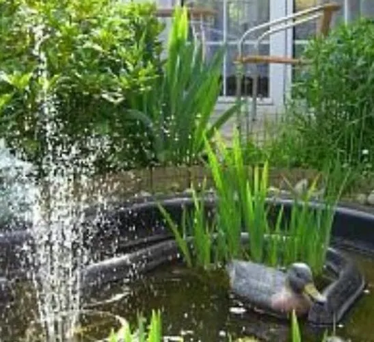 In * Ostseebad Kühlungsborn